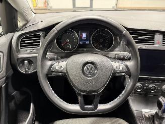 Volkswagen e-Golf 36kWh 100kW Camera Matrixled picture 23
