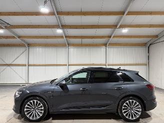 Audi E-tron 55 95kWh 300kW Quattro Business Edition luchtvering picture 8