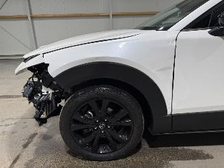 Mazda CX-30 2.5 e-SkyActive-G 103kW Automaat Hybrid Homura picture 15