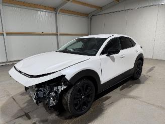 Mazda CX-30 2.5 e-SkyActive-G 103kW Automaat Hybrid Homura picture 9