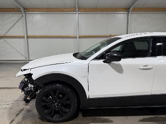Mazda CX-30 2.5 e-SkyActive-G 103kW Automaat Hybrid Homura picture 13