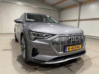 Audi E-tron 50 71kWh 230kW Quattro Luchtvering S Edition Pano picture 22