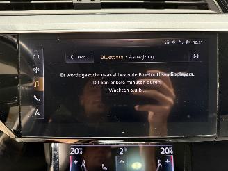 Audi E-tron 50  71kWh 230kW Quattro Launch Edition Plus picture 25