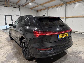 Audi E-tron 50  71kWh 230kW Quattro Launch Edition Plus picture 12