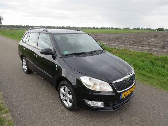 Vaurioauto  passenger cars Skoda Fabia 1.2 TDi Greenline Business Line Navigatie Airco Climaat  2012 2012/8