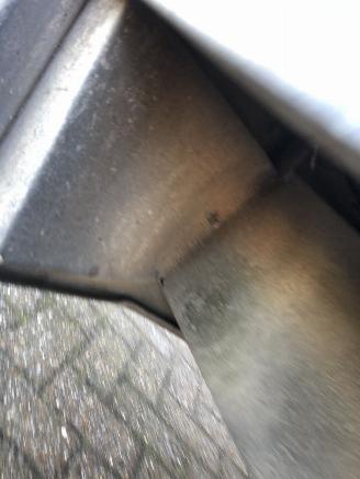 Henra  henra PL 2 picture 11