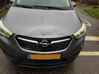 Opel Crossland 1.2 innovation picture 5