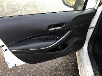 Suzuki Swace Swace 1.8 Hybrid Style picture 19