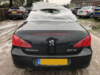 Peugeot 307 cc picture 5