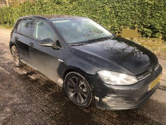 Volkswagen Golf Golf 1.6 TDI Highline BlueMotion picture 4