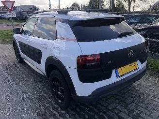 Citroën C4 cactus C4 Cactus 1.2 PureTech Shine picture 6