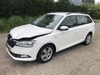 škoda osobní automobily Skoda Fabia Fabia Combi 1.0 TSI Clever 2019/4