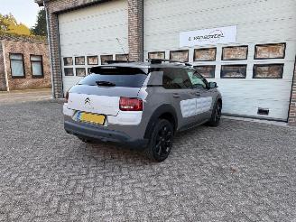 Citroën C4 cactus 1.2 e-VTi Business Automaat Navi Clima Cruise NAP ! picture 4