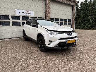škoda osobní automobily Toyota Rav-4 2.5 Hybrid AWD Executive Automaat Leder 2017/5