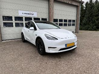 Vaurioauto  passenger cars Tesla Model Y AWD 75 kWh Performance Leder Pano 1e Eig NAP 2022/9