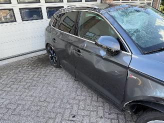 Audi Q5 55 TFSI e Quattro Competition Navi Clima B&O picture 17