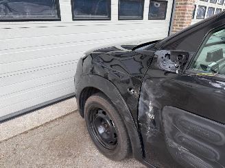 Citroën C4 cactus 1.2 Puretech Feel Navi Clima Cruise NAP ! picture 16