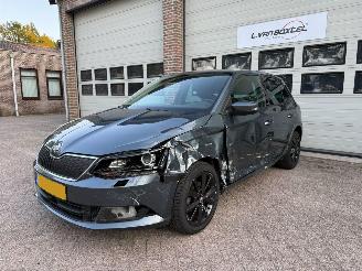 Skoda Fabia 1.2 TSI Monte Carlo Navi Clima Cruise 35818 Km ! picture 2