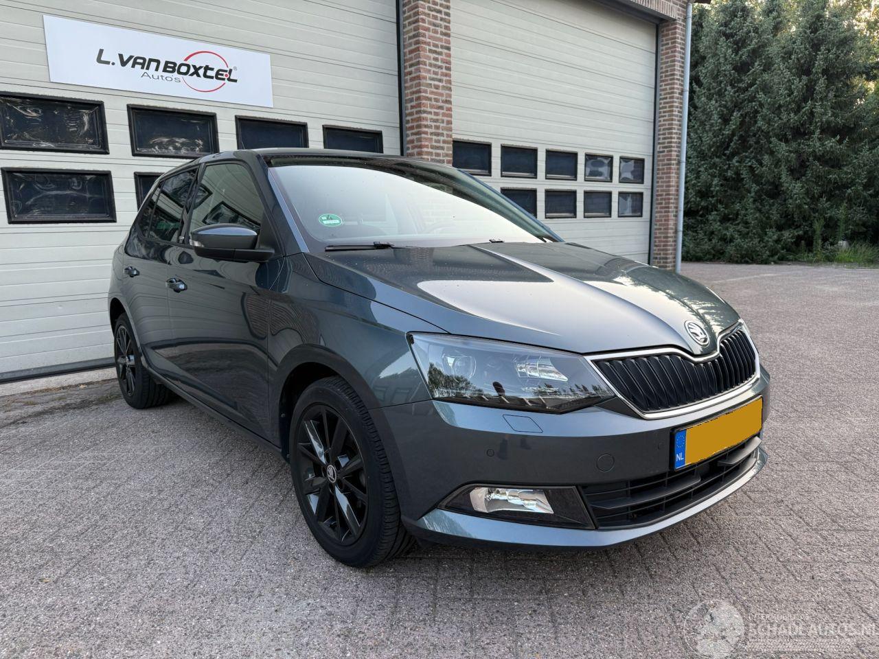 Skoda Fabia 1.2 TSI Monte Carlo Navi Clima Cruise 35818 Km !