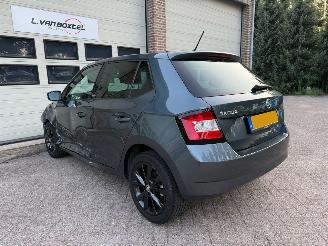 Skoda Fabia 1.2 TSI Monte Carlo Navi Clima Cruise 35818 Km ! picture 4
