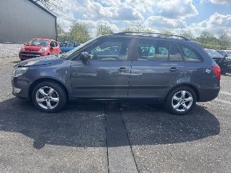 Skoda Fabia  picture 2