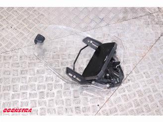 Triumph Tiger 900 Rally Pro ABS SHZ Heizgriffe Cruise picture 15