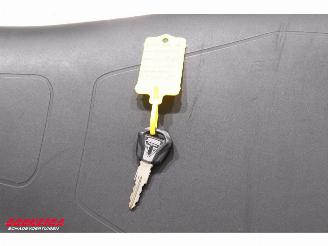 Triumph Tiger 900 Rally Pro ABS SHZ Heizgriffe Cruise picture 23