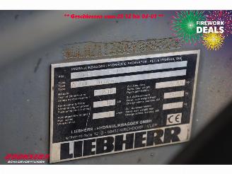 Liebherr  A916 LITRONIC SMP Tiltrotator picture 36