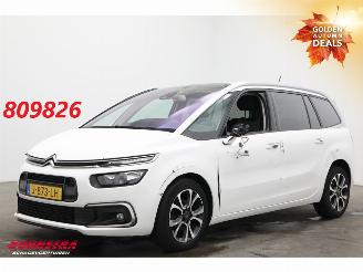 Damaged car Citroën Grand C4 SpaceTourer 1.2 PureTech Bns 7-Pers. Navi Clima Cruise Camera PDC AHK 46.725 km! 2020/9