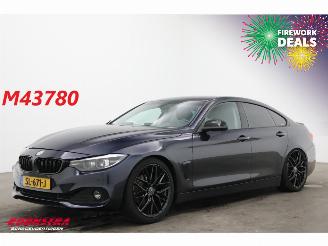 damaged passenger cars BMW 4-serie Gran Coupé 420i Executive LED Navi Clima Cruise Camera SHZ PDC 2018/4