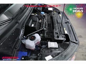 Skoda Enyaq 85 Sportline Matrix ACC LRHZ Camera Memory picture 6