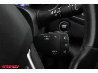 Renault Mégane 1.2 TCe Bose Pano Navi Clima Cruise picture 21