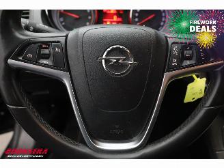 Opel Insignia Sports Tourer 1.4 Turbo EcoFLEX Cosmo Navi Clima Cruise PDC AHK picture 21