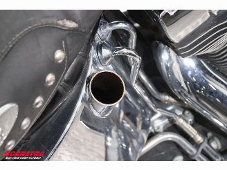 Harley-Davidson  FLSTC Heritage Softail Classic Python BY 2008 picture 12