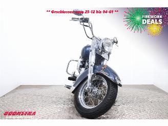 Harley-Davidson  FLSTC Heritage Softail Classic Python BY 2008 picture 6