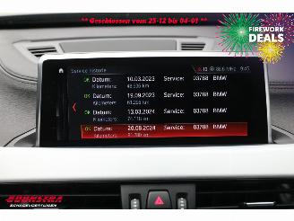 BMW X1 sDrive20d Aut. M-Sport LED ACC H/K Pano SHZ Camera picture 31