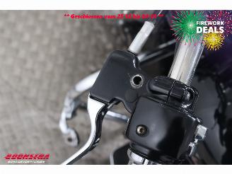 Harley-Davidson  FLHR Road King LED Cruise picture 17