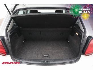 Volkswagen Polo 1.4 TDI BlueMotion Navi Airco Cruise picture 29