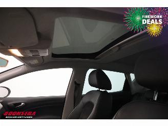 Seat Ibiza 1.2 TSI Style Pano Navi Clima Cruise SHZ PDC picture 20