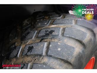   RADIUM 250 Silagewagen Stuuras 41.5m3 BY 2020 picture 39