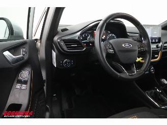 Ford Fiesta 1.0 EcoBoost Active Navi Clima Cruise Camera PDC picture 13