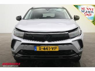 Opel Grandland 1.6 Turbo Plug-In Hybrid GS LED ACC Apple/Android LRHZ AHK picture 11