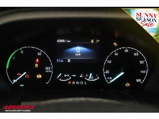 Ford  350 L2H2 Trend 68 kWh Konvekta Dolphin Navi Clima Cruise SHZ picture 23