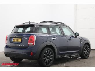 Mini Countryman 1.5 Cooper Aut. Salt Pano Navi Clima Cruise PDC picture 3