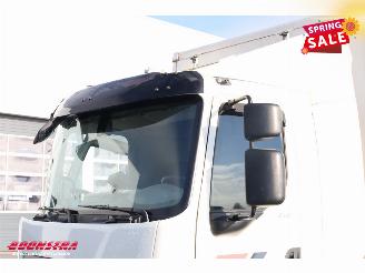 DAF LF 210 FA Aut. LBW Bak-Klep Dhollandia ACC 368.328 km! picture 17