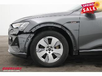 Audi E-tron 55 quattro S edition 95 kWh LED ACC Apple/Android Camera SHZ picture 10