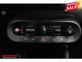 Mini Mini E Classic L 42.5 kWh Pano LED ACC H/K HUD 360° LRHZ picture 41