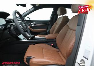 Audi Q8 55 quattro Advanced 115 kWh Pano LED ACC B&O HUD Memory 360° picture 20