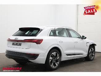 Audi Q8 55 quattro Advanced 115 kWh Pano LED ACC B&O HUD Memory 360° picture 3