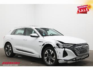 Audi Q8 55 quattro Advanced 115 kWh Pano LED ACC B&O HUD Memory 360° picture 2